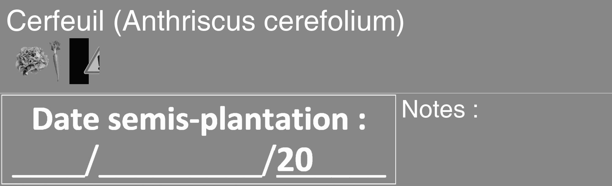 Étiquette de : Anthriscus cerefolium - format c - style blanche12_basique_basiquehel avec comestibilité simplifiée
