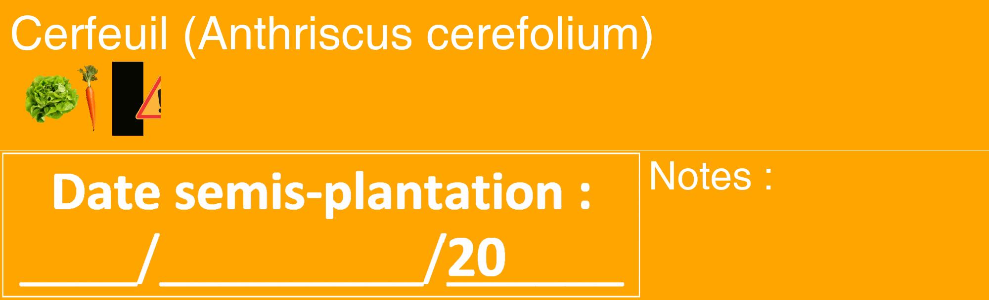 Étiquette de : Anthriscus cerefolium - format c - style blanche22_basique_basiquehel avec comestibilité simplifiée