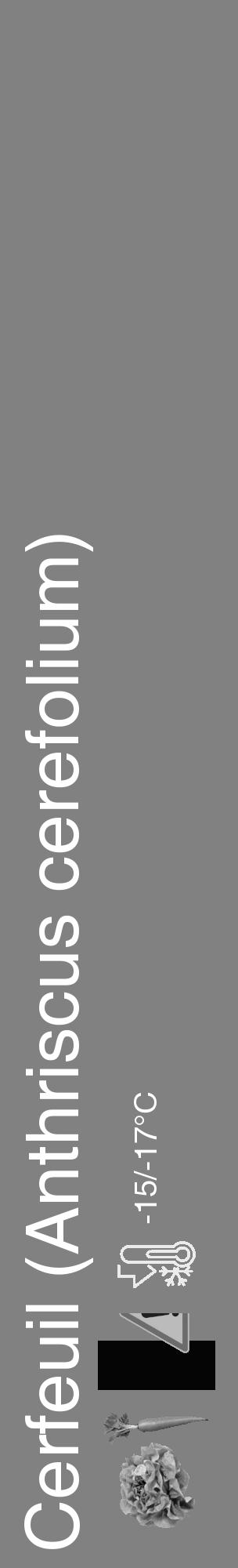 Étiquette de : Anthriscus cerefolium - format c - style blanche50_basique_basiquehel avec comestibilité simplifiée - position verticale