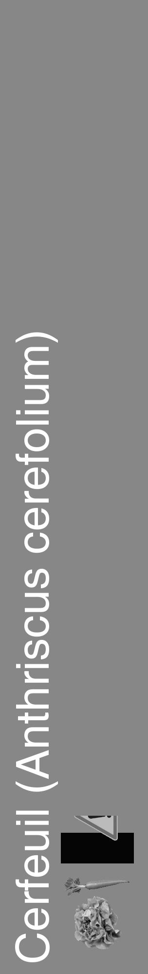 Étiquette de : Anthriscus cerefolium - format c - style blanche12_basique_basiquehel avec comestibilité simplifiée - position verticale