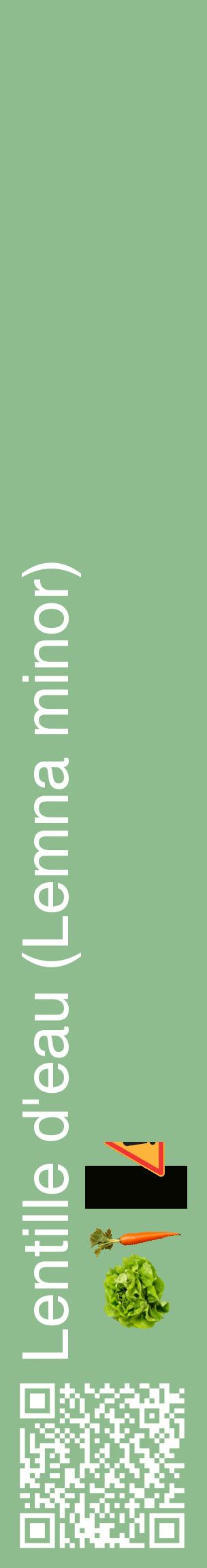 Étiquette de : Lemna minor - format c - style blanche13_basiquehel avec qrcode et comestibilité simplifiée