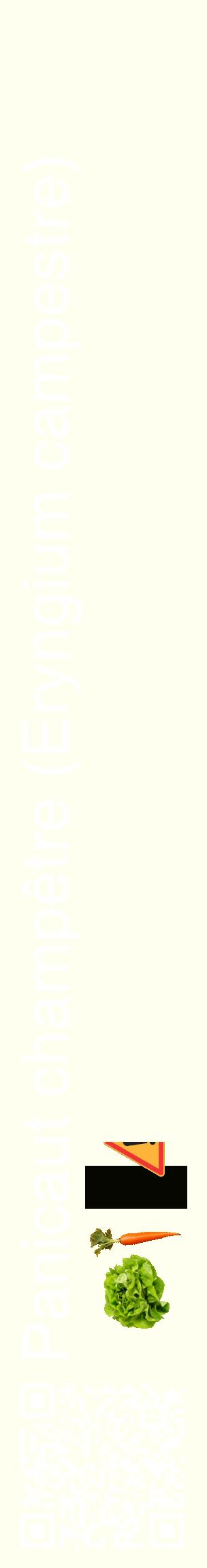 Étiquette de : Eryngium campestre - format c - style blanche19_basiquehel avec qrcode et comestibilité simplifiée