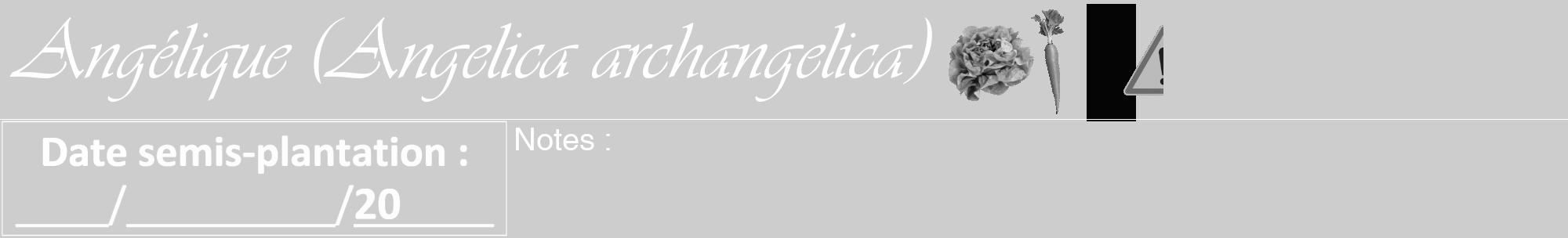 Étiquette de : Angelica archangelica - format a - style blanche41viv avec comestibilité simplifiée