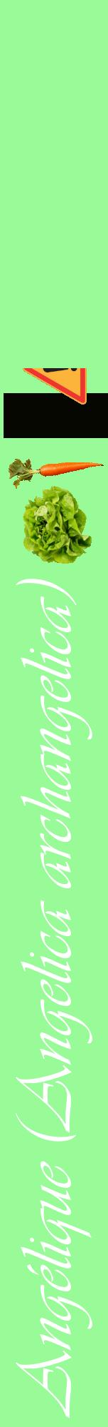 Étiquette de : Angelica archangelica - format a - style blanche14viv avec comestibilité simplifiée