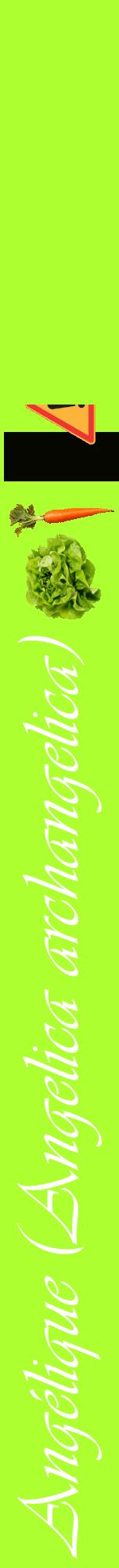 Étiquette de : Angelica archangelica - format a - style blanche17viv avec comestibilité simplifiée