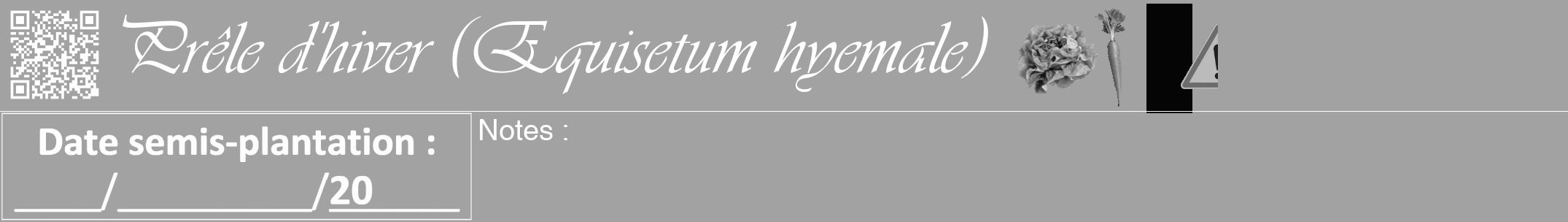 Étiquette de : Equisetum hyemale - format a - style blanche38viv avec qrcode et comestibilité simplifiée
