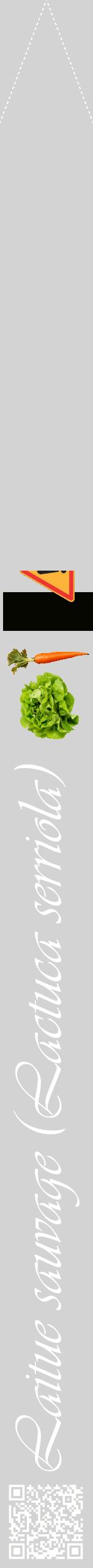 Étiquette de : Lactuca serriola - format b - style blanche56viv avec qrcode et comestibilité simplifiée