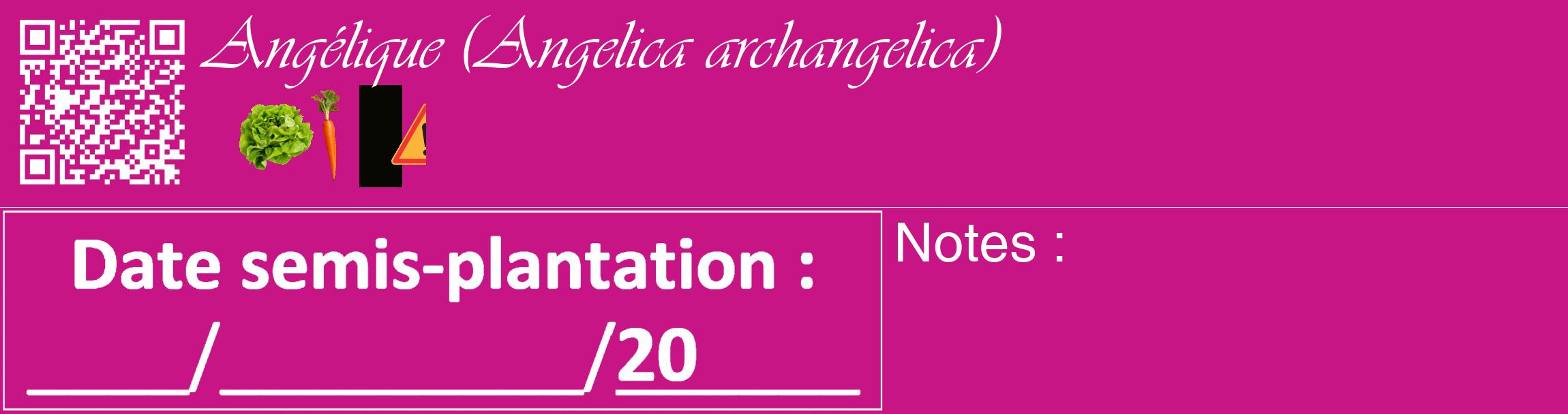Étiquette de : Angelica archangelica - format c - style blanche45_basique_basiqueviv avec qrcode et comestibilité simplifiée