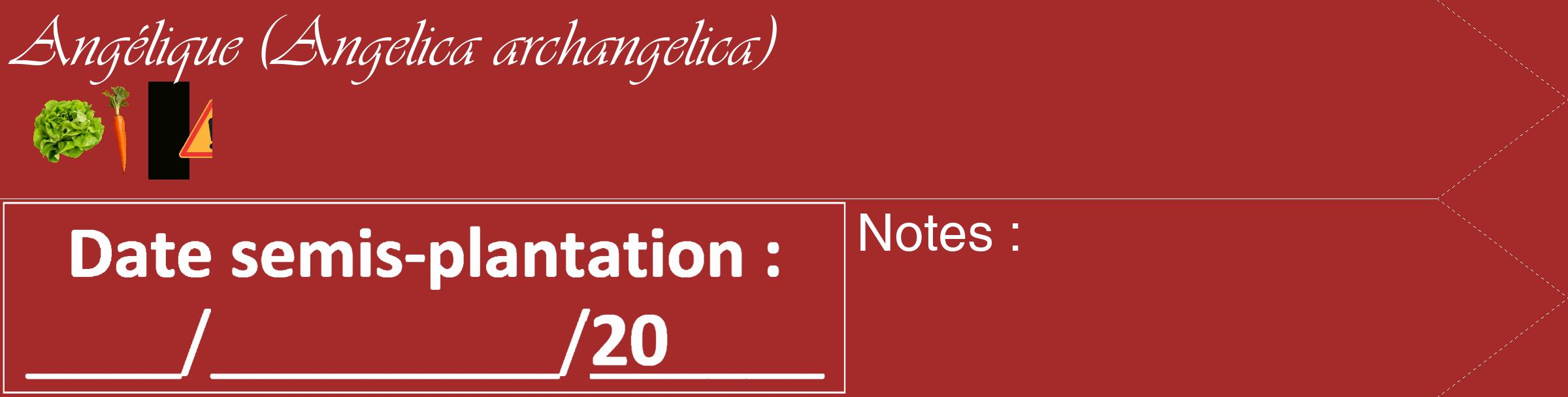 Étiquette de : Angelica archangelica - format c - style blanche33_simple_simpleviv avec comestibilité simplifiée