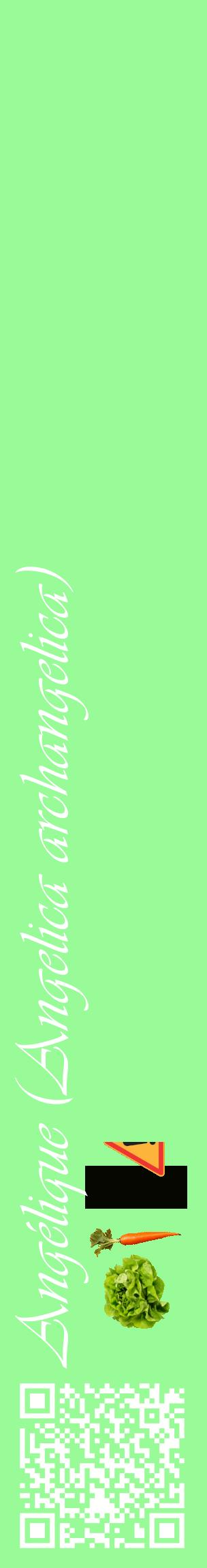 Étiquette de : Angelica archangelica - format c - style blanche14_basiqueviv avec qrcode et comestibilité simplifiée