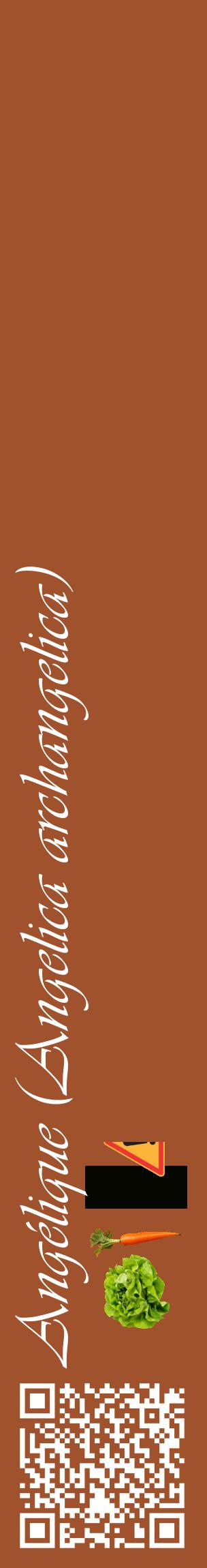Étiquette de : Angelica archangelica - format c - style blanche32_basiqueviv avec qrcode et comestibilité simplifiée