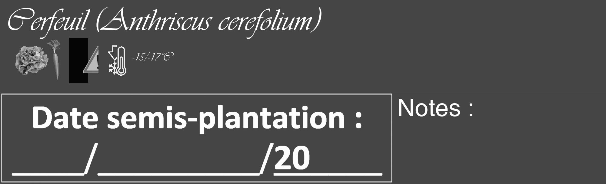 Étiquette de : Anthriscus cerefolium - format c - style blanche58_basique_basiqueviv avec comestibilité simplifiée