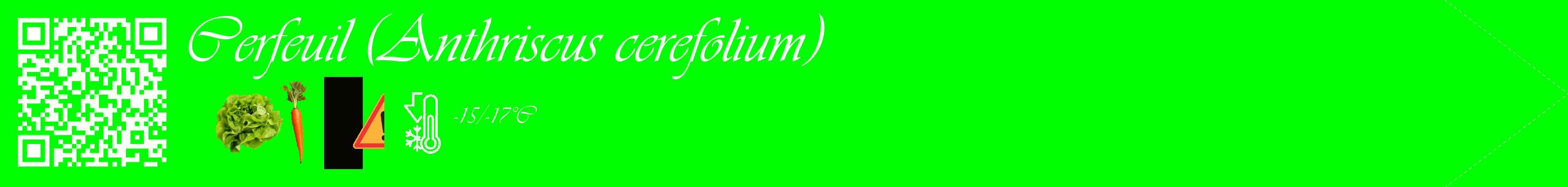 Étiquette de : Anthriscus cerefolium - format c - style blanche16_simple_simpleviv avec qrcode et comestibilité simplifiée