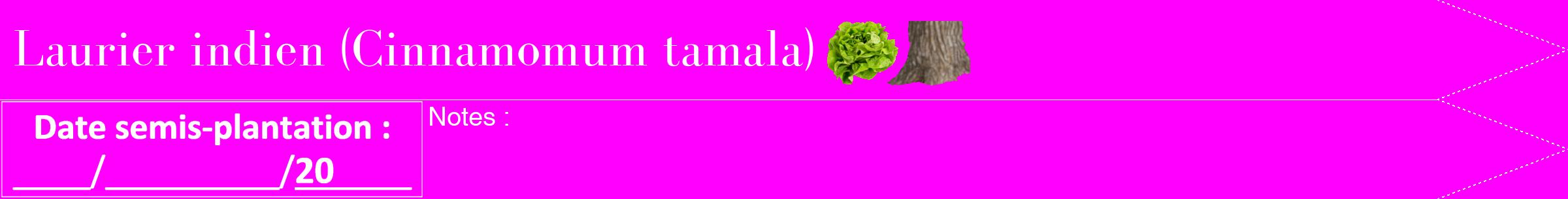 Étiquette de : Cinnamomum tamala - format b - style blanche51simplebod avec comestibilité simplifiée