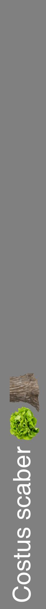 Étiquette de : Costus scaber - format a - style blanche57hel avec comestibilité simplifiée