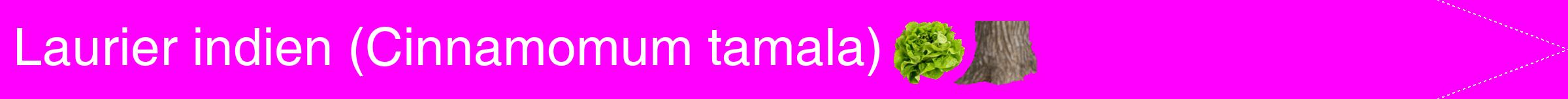 Étiquette de : Cinnamomum tamala - format b - style blanche51simplehel avec comestibilité simplifiée
