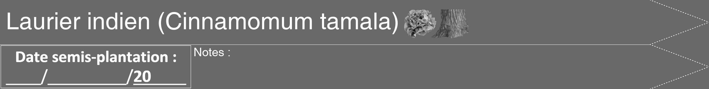 Étiquette de : Cinnamomum tamala - format b - style blanche51simplehel avec comestibilité simplifiée