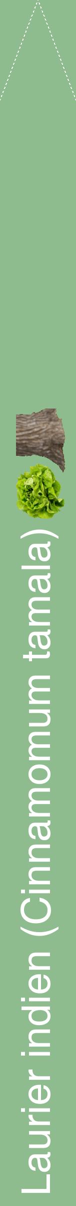 Étiquette de : Cinnamomum tamala - format b - style blanche13hel avec comestibilité simplifiée