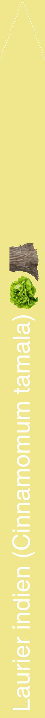 Étiquette de : Cinnamomum tamala - format b - style blanche20hel avec comestibilité simplifiée