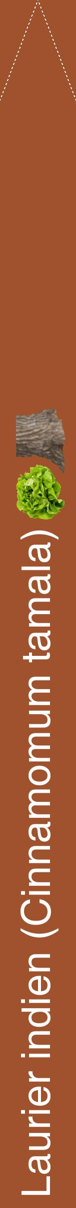 Étiquette de : Cinnamomum tamala - format b - style blanche32hel avec comestibilité simplifiée