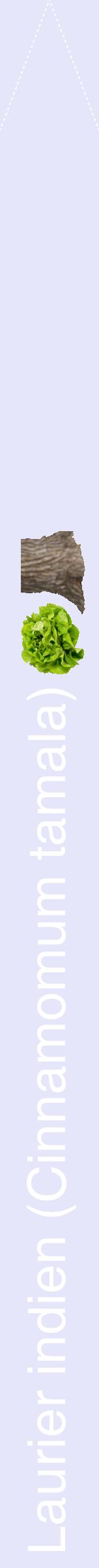 Étiquette de : Cinnamomum tamala - format b - style blanche55hel avec comestibilité simplifiée