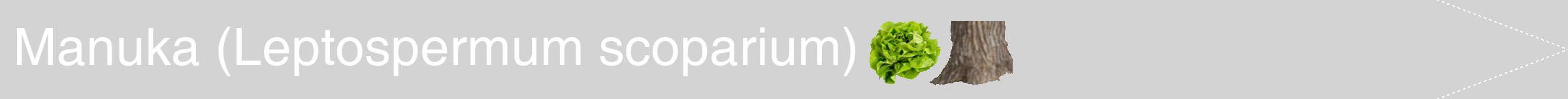 Étiquette de : Leptospermum scoparium - format b - style blanche56simplehel avec comestibilité simplifiée