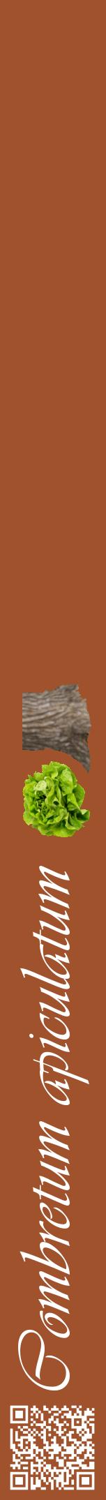 Étiquette de : Combretum apiculatum - format a - style blanche32viv avec qrcode et comestibilité simplifiée