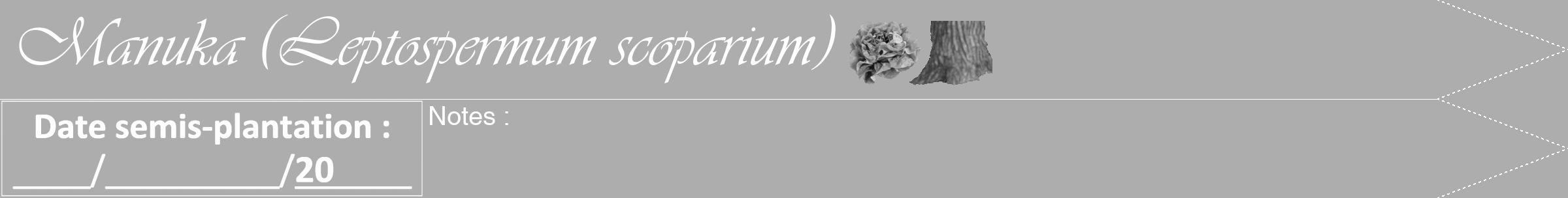 Étiquette de : Leptospermum scoparium - format b - style blanche22simpleviv avec comestibilité simplifiée