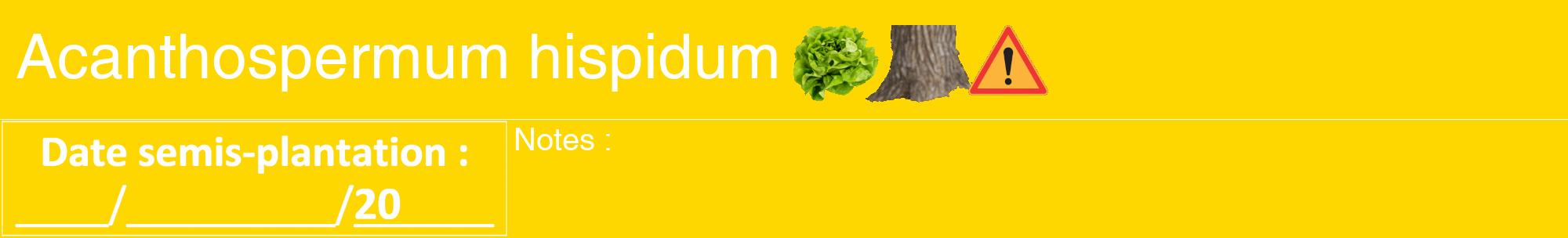 Étiquette de : Acanthospermum hispidum - format a - style blanche21hel avec comestibilité simplifiée