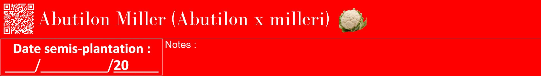 Étiquette de : Abutilon x milleri - format a - style blanche27bod avec qrcode et comestibilité simplifiée