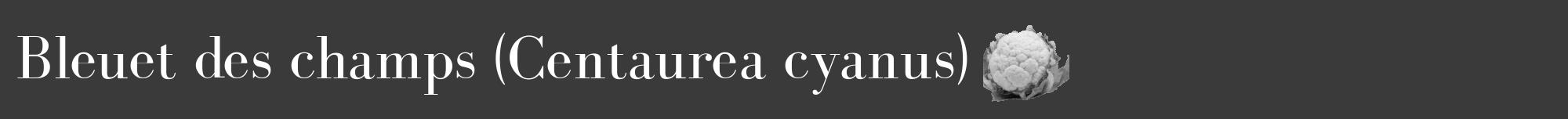Étiquette de : Centaurea cyanus - format a - style blanche8basiquebod avec comestibilité simplifiée