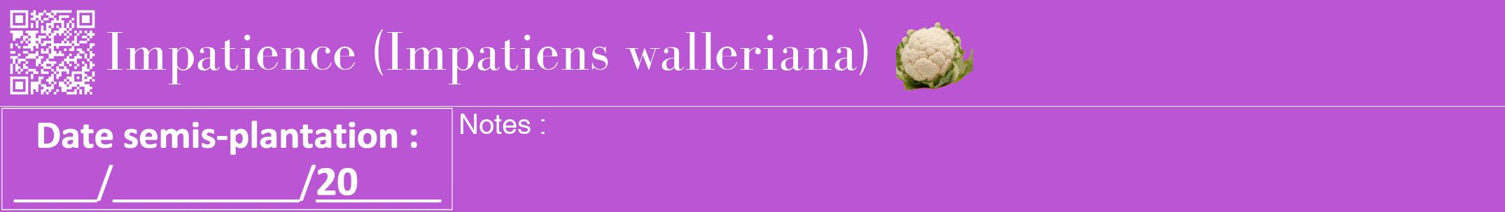 Étiquette de : Impatiens walleriana - format a - style blanche50bod avec qrcode et comestibilité simplifiée