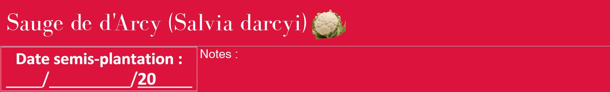 Étiquette de : Salvia darcyi - format a - style blanche36bod avec comestibilité simplifiée