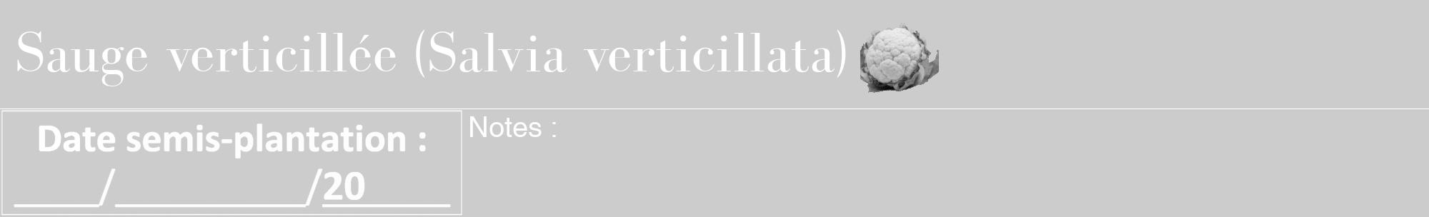 Étiquette de : Salvia verticillata - format a - style blanche0bod avec comestibilité simplifiée