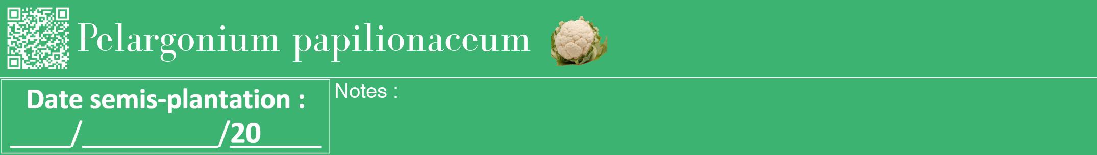 Étiquette de : Pelargonium papilionaceum - format a - style blanche12bod avec qrcode et comestibilité simplifiée