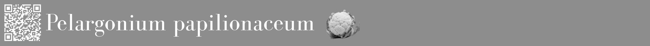Étiquette de : Pelargonium papilionaceum - format a - style blanche2bod avec qrcode et comestibilité simplifiée