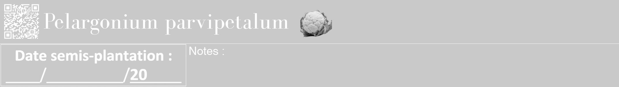 Étiquette de : Pelargonium parvipetalum - format a - style blanche54bod avec qrcode et comestibilité simplifiée
