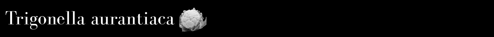 Étiquette de : Trigonella aurantiaca - format a - style blanche59bod avec comestibilité simplifiée