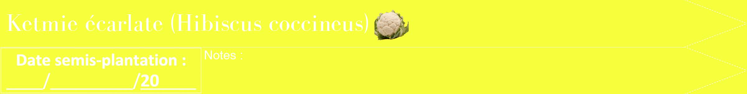 Étiquette de : Hibiscus coccineus - format b - style blanche18bod avec comestibilité simplifiée