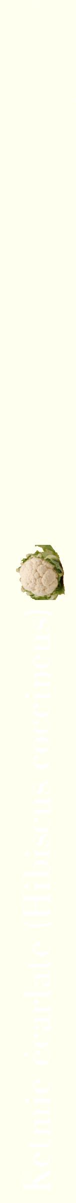 Étiquette de : Hibiscus coccineus - format b - style blanche19bod avec comestibilité simplifiée