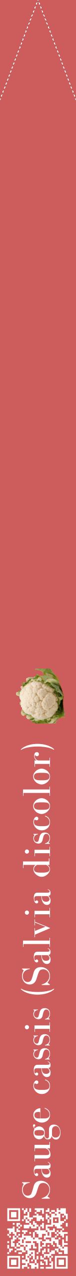 Étiquette de : Salvia discolor - format b - style blanche35bod avec qrcode et comestibilité simplifiée