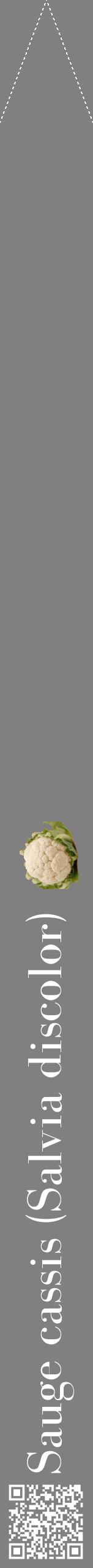 Étiquette de : Salvia discolor - format b - style blanche57bod avec qrcode et comestibilité simplifiée