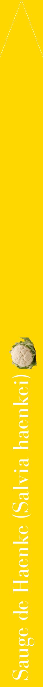 Étiquette de : Salvia haenkei - format b - style blanche21bod avec comestibilité simplifiée