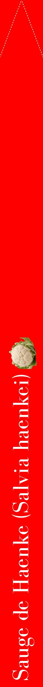 Étiquette de : Salvia haenkei - format b - style blanche27bod avec comestibilité simplifiée