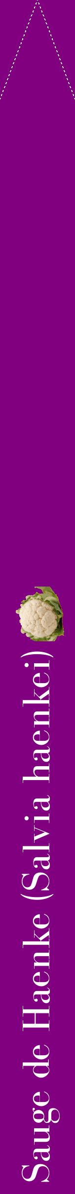 Étiquette de : Salvia haenkei - format b - style blanche46bod avec comestibilité simplifiée