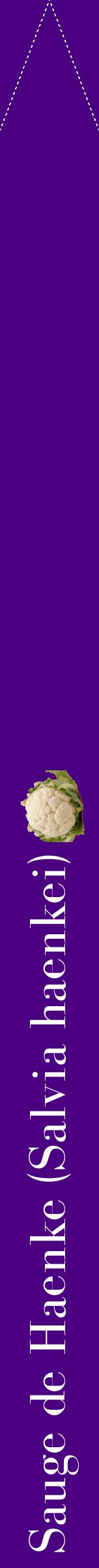 Étiquette de : Salvia haenkei - format b - style blanche47bod avec comestibilité simplifiée