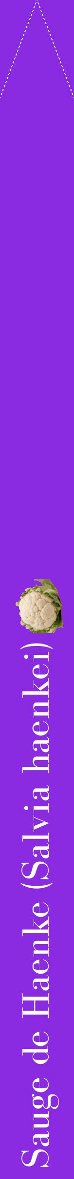 Étiquette de : Salvia haenkei - format b - style blanche49bod avec comestibilité simplifiée