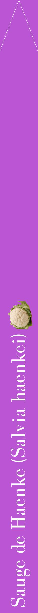Étiquette de : Salvia haenkei - format b - style blanche50bod avec comestibilité simplifiée