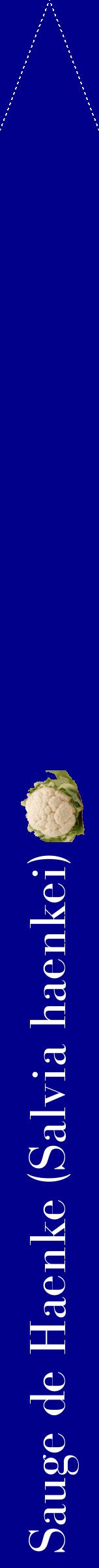 Étiquette de : Salvia haenkei - format b - style blanche7bod avec comestibilité simplifiée