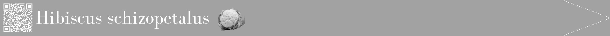 Étiquette de : Hibiscus schizopetalus - format b - style blanche38bod avec qrcode et comestibilité simplifiée
